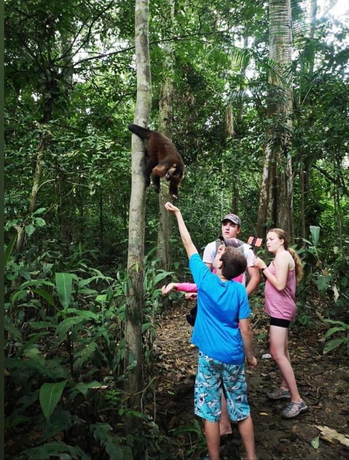 Green Diamond Amazon Lodge Puerto Maldonado Eksteriør billede